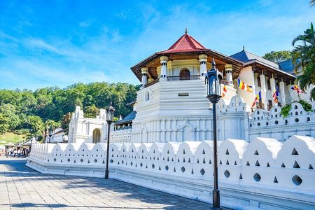 Sri Lanka Tour/6 Days+Friendly Chauffeur +vehicle+accommodation H/B basis