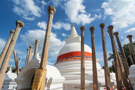 Sri Lanka Private Tour 8 days-Driver/vehicle/accommodation H/B