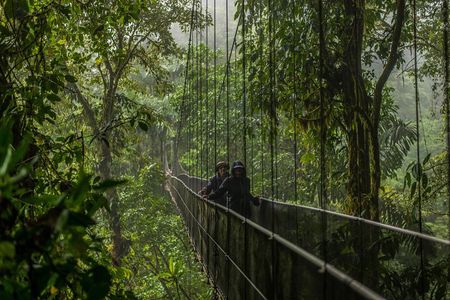 Arenal City Pass® Volcano, Waterfall, Bridges (SelfGuide)