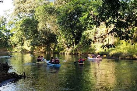 Wildlife Safari Experience by Kayak
