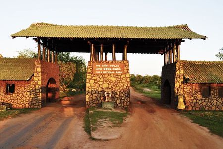 Yala National Park Safari - Private Tour