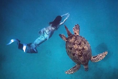 Moana's Waikīkī Sunrise Snorkel Experience on Nalu