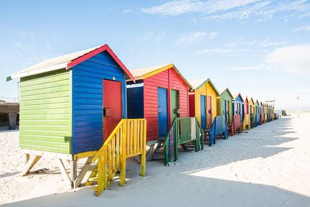 The Road Trip (Cape Point and Penguins)