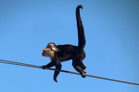 Palo Verde Natural Park Boat Tour