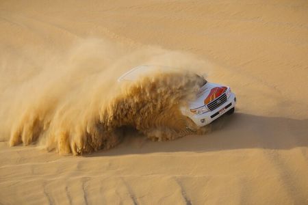 Morning Desert Safari From Abu Dhabi