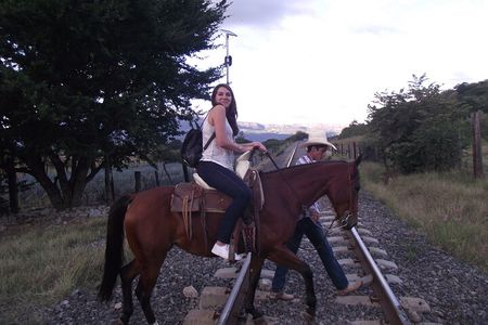 Horseback Riding Tour in The Agave Field with Lunch