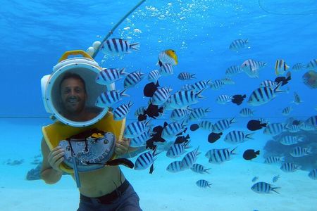 Aqua Safari Introductory Helmet Dive (Underwater Walk)