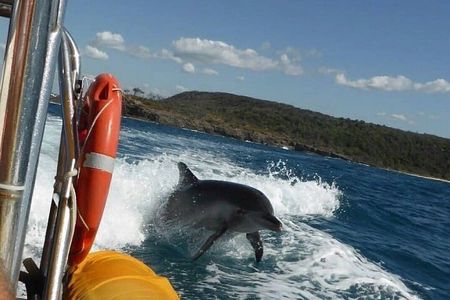 Noosa ocean adventure & Dolphin safari. 