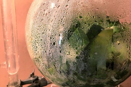 Distillation of Okinawa Herb Essential Oil and Herbal Water
