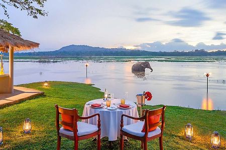 10 Days;Dream Path of Sri Lanka