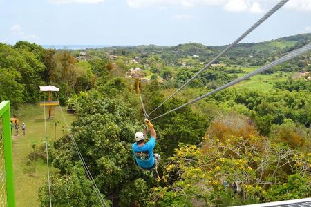 Rainforest Zipline in Foothills of the National Rainforest