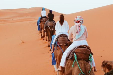 Sahara Desert Family Tour