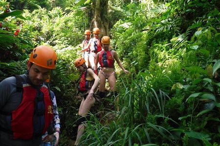 El Yunque Waterslides Tour – Small Group Rainforest Adventure