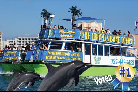 Guaranteed Dolphin Sighting Tour on Tropics Boat Tours