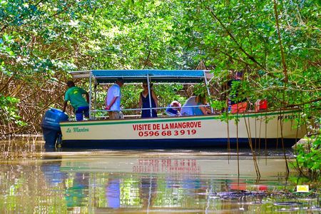 Mangrove Guided Tour