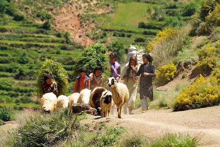 Atlas Mountains with Horse Riding and discover the berber Villages and culture