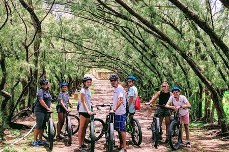 Electric Bike Bajan Sightseeing Experience (Transport Included)