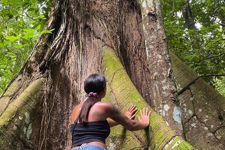 Samaná: waterfall El Limine & island Cayo Levantado