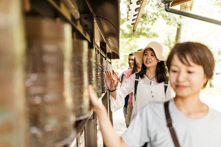 Kyoto Private & Personalized Half-Day Walking Tour with a Guide