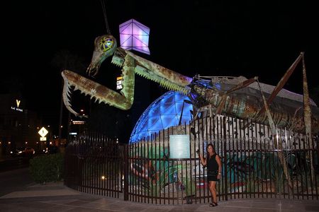 The Weird, Wacky Fremont Bar Experience with Cocktails and Photos