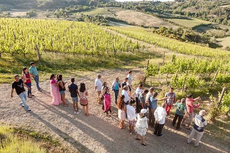Vino Nobile di Montepulciano Wine Tour - Meet the producers