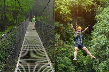Congo Combo: Thrilling Hanging Bridges and Zipline Adventure