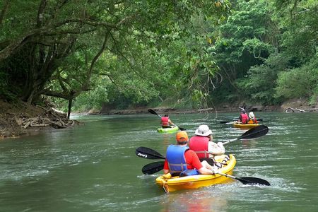 Wildlife Safari Float by Kayak in Peñas Blancas River from Arenal