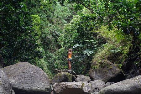 Hiking Adventure: River Trails & Waterfall Wonders