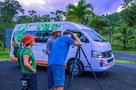 Bird Watching Near the Arenal Volcano
