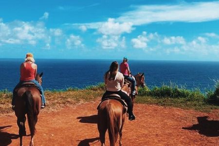 Maui Horseback Adventure at Circle M Ranch With Real Cowboys