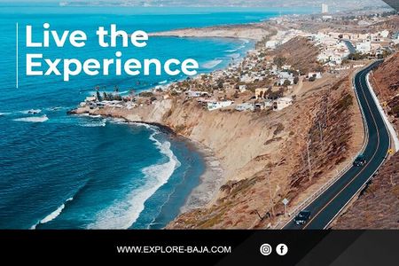 PRIVATE BAJA WINERIES EXPERIENCE (Transportation,concierge,custom schedule)
