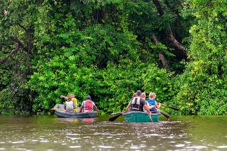 Discover Tortuguero: 1 Night 2 Days All Inclusive Package
