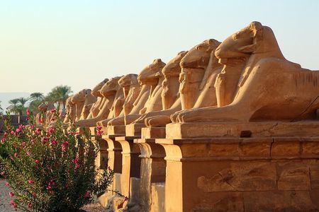 Luxor Private Day Tour to the East and West Banks