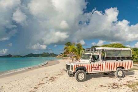Half-Day Tour: Island Safari Adventure from St. John's