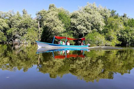 Lagoon Adventure: Jungle, Turtle Release & Cliff Diving Spectacle