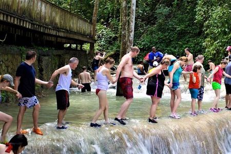 Dunn's River Falls and Luminous Lagoon Guided Tour from Grand Palladium