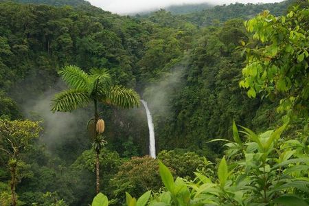 La Fortuna Waterfall Guided Hike, Incl Lunch at La Finquita Farm