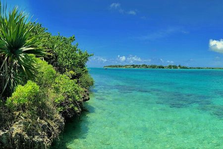 Ile aux Aigrettes Nature Reserve, Blue Bay Beach, La Vanille Park & Gris Gris