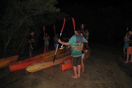 Bioluminescent Bay Kayak Trip from Vieques