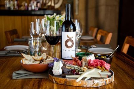 Vineyards, Wine Tasting and Pairing in San Miguel