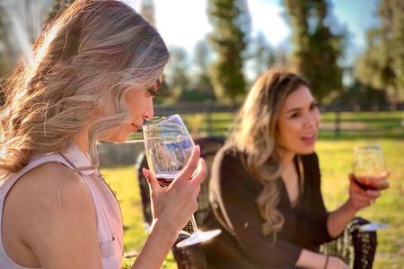 Small-Group Wine Tasting Tour of Santa Barbara Wine Country