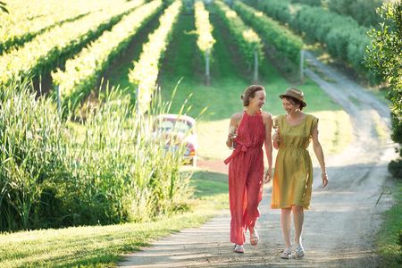 Montalto Vineyard: Mornington Peninsula Discovery Wine Tasting and Lunch