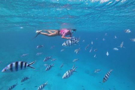 Half-Day Snorkeling Tour in Tahiti