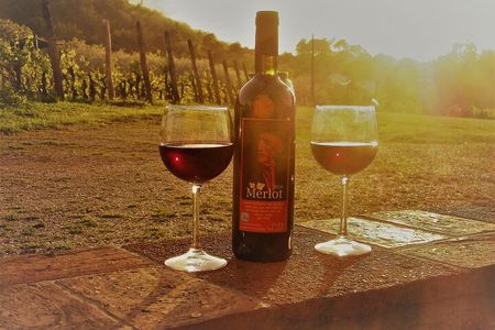 Guided E-Bike Tour with Wine Tasting from Lucca