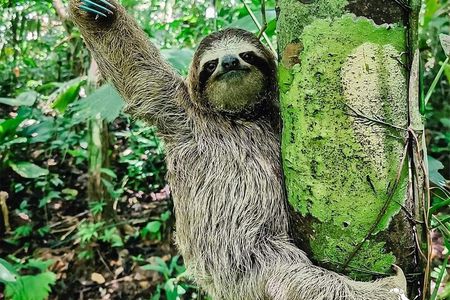 A full day at the Jaguar Rescue Center with Cahuita National Park