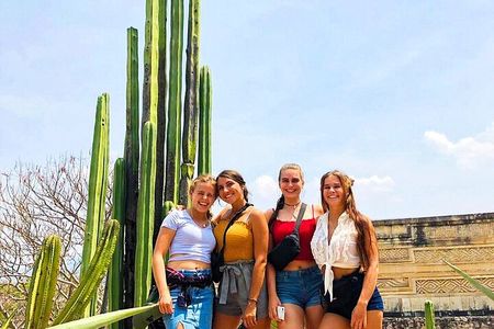 Mitla Half Day Guided Tour