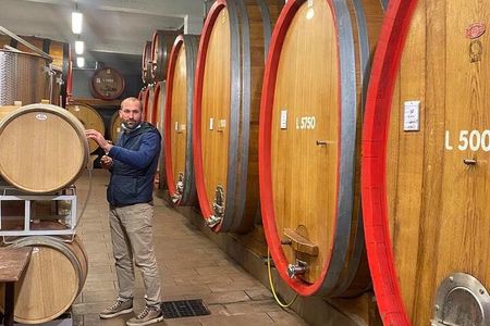 Barolo & Barbaresco Wine Experience with a Local Winemaker / Asti