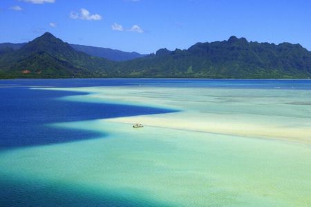 Kaneohe Sandbar Snorkeling Tour - 1st Tour