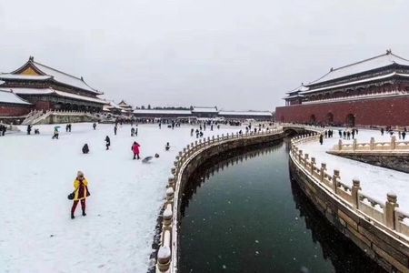 Private Half-day In-depth Walking Tour of Forbidden City 