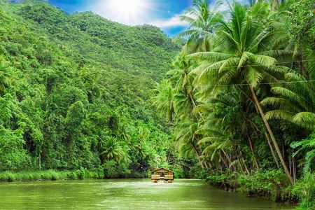 Private Bohol and Chocolate Hills with Loboc River Cruise